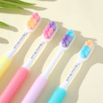 Korean Toothbrush Color Pop Edition